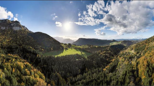 Entre St Laurent du Pont et le Col de la Placette