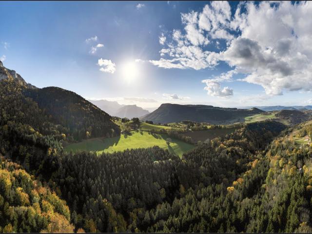 Entre St Laurent du Pont et le Col de la Placette