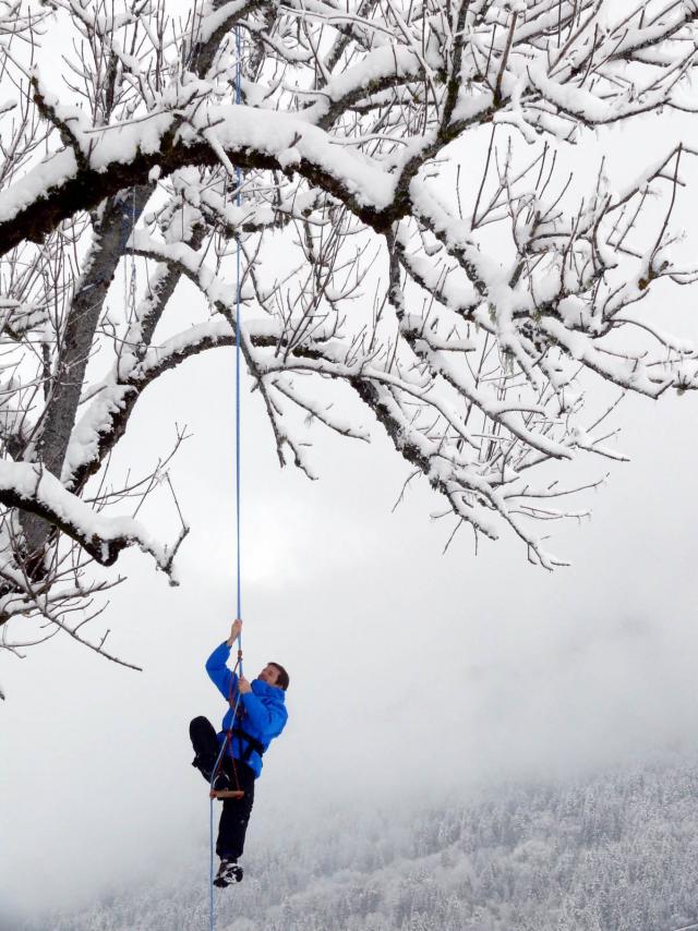 Grimpe Arbre Naturedescimes