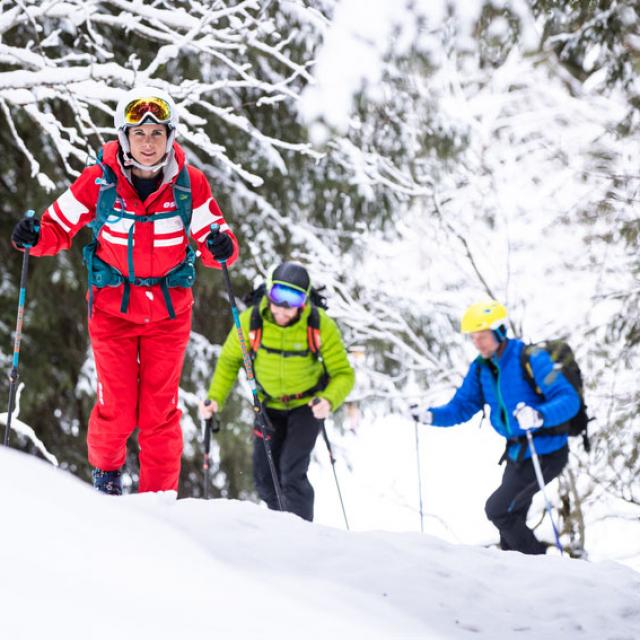 Initiation Ski Ski Rando Foret