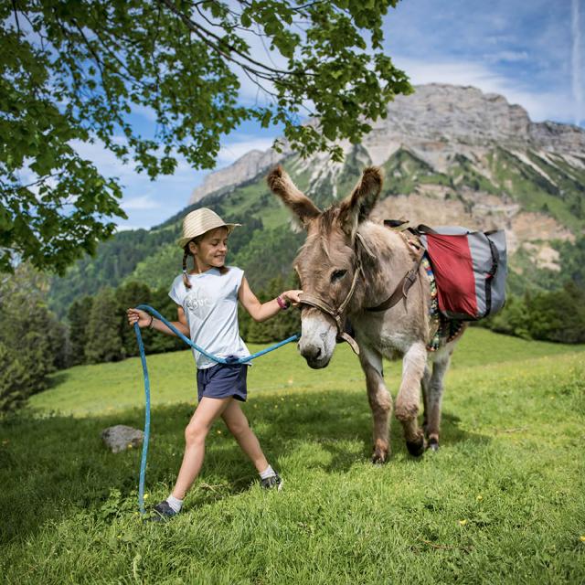 Balade avec un âne aux Eimendras