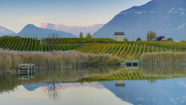 Vignobles et lac de Saint André