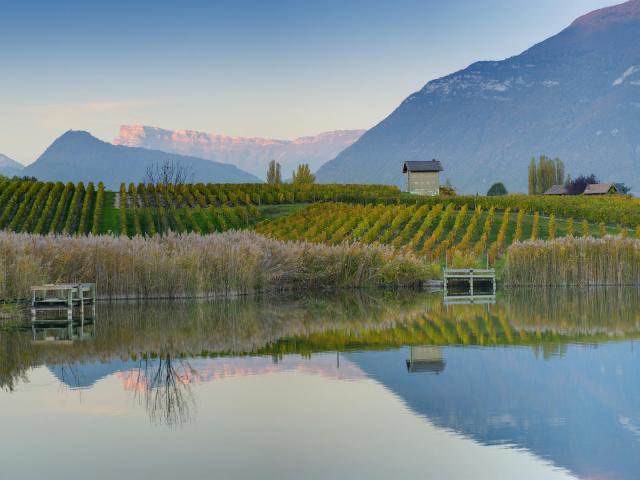 Vignobles et lac de Saint André