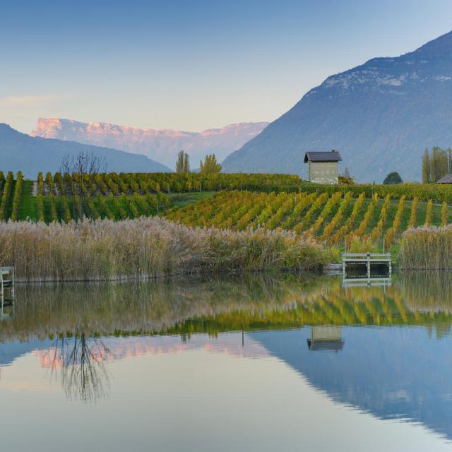 Vignobles et lac de Saint André