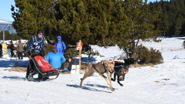 Musher Race Juliette