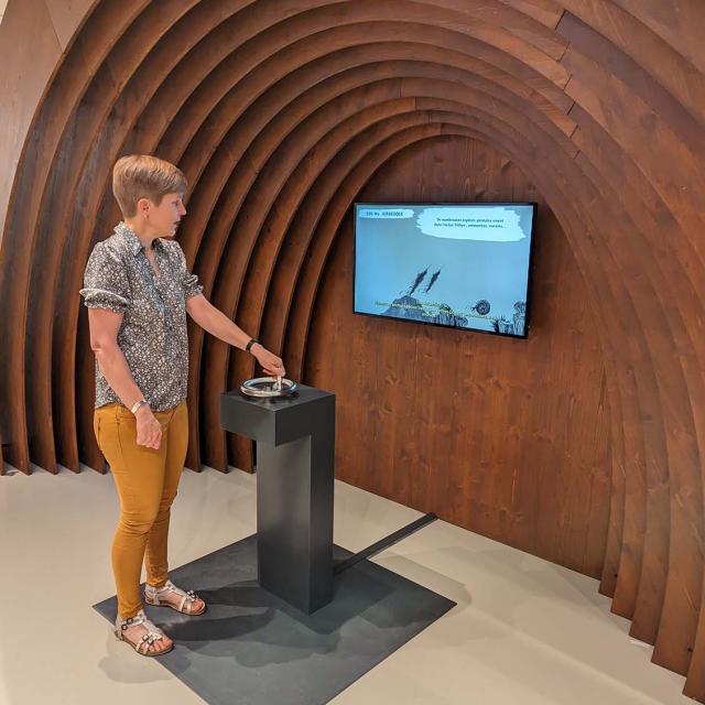 Manivelle à remonter Le temps au Musée de 'lOurs des Cavernes