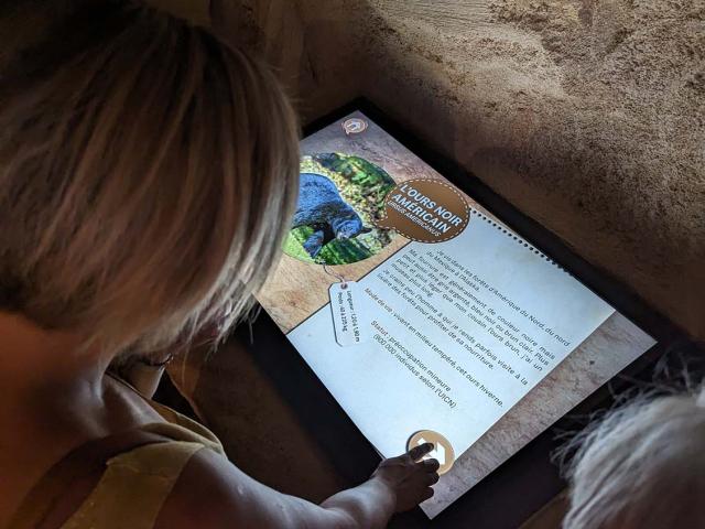 Table quizz du Musée de l'ours des cavernes