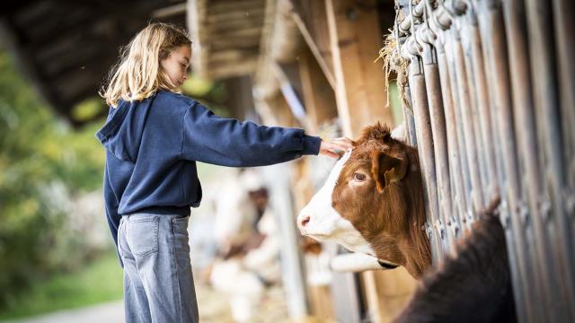 Visite Ferme Plantimay