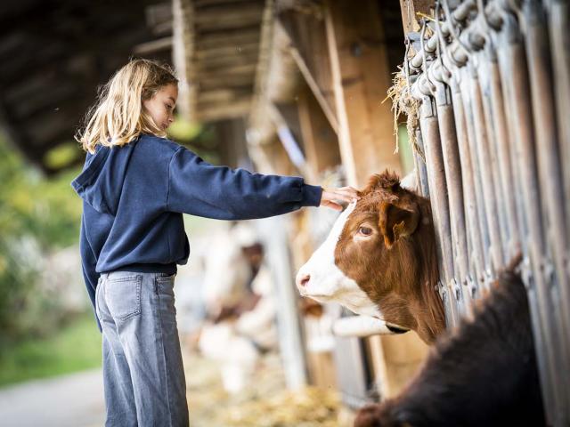 Visite Ferme Plantimay