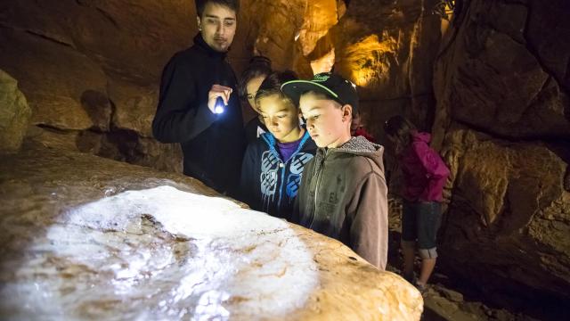 Visite de la grotte à la lampe torche