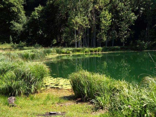 Lac de St Sixte