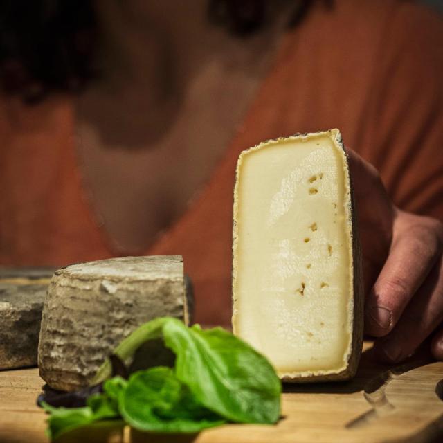 Tomme du GAEC de La Faurie