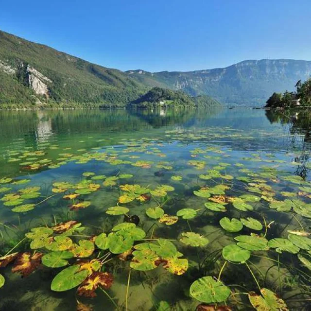 Réserve naturelle du Lac d'Aiguebelette