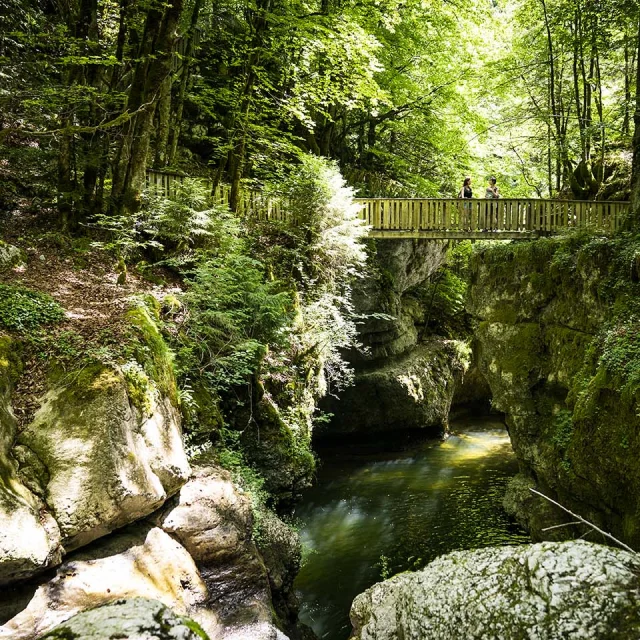 Sentier du Cozon