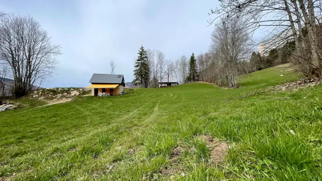 Cabane Du Mont